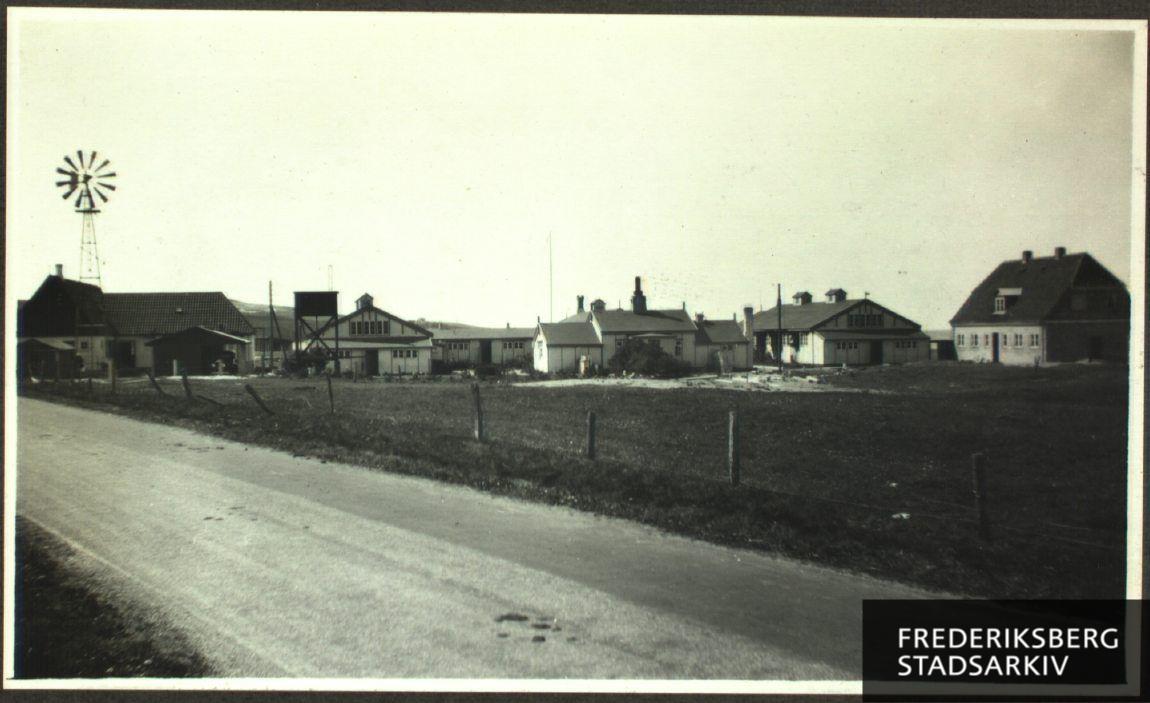 Fra kolonien ved Høve Strand (Sejerø Bugt)