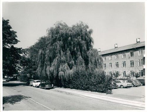Bygning på Frederiksberg Hospital