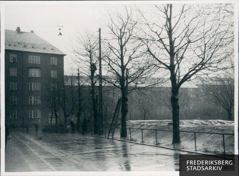 Anlæg nord for Lindevangsparken