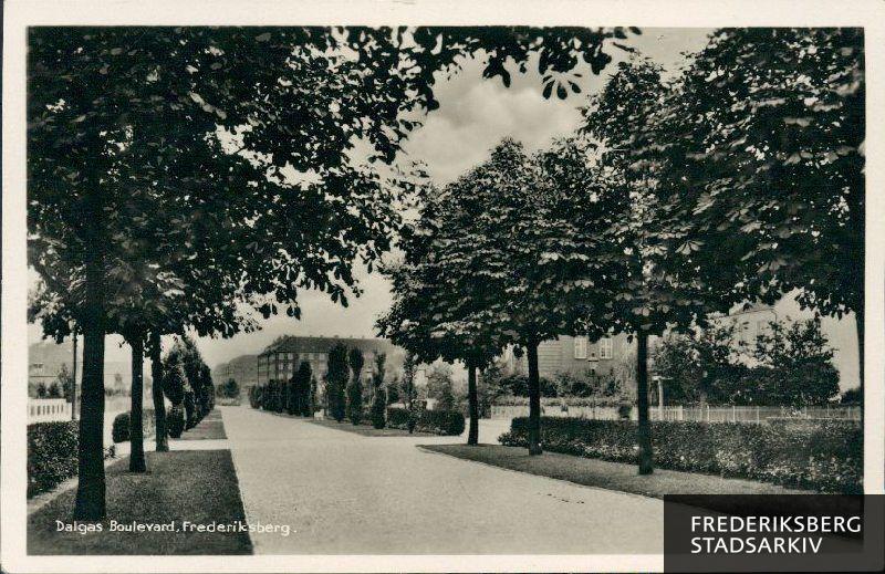 Dalgas Boulevard, set mod Peter Bangs Vej. Boulevarden ses her med de oprindelige poppeltræer, der blev plantet i 1914. Disse blev sidenhen udskiftet med lindetræer