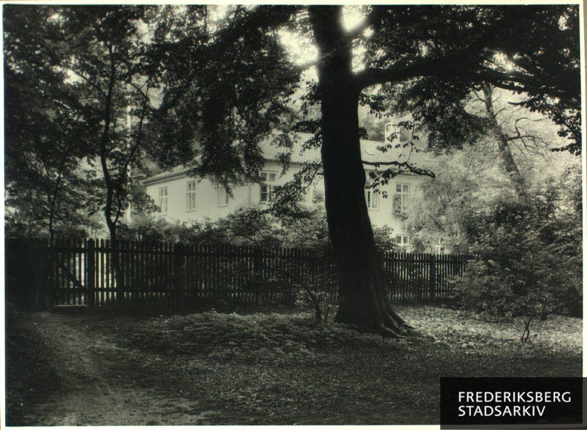 Fasangården i den vestlige ende af Frederiksberg Have med Marie Oehlenschlägers bøg