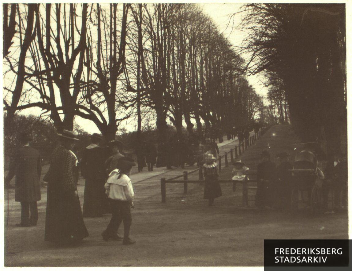 Folkeliv på Frederiksberg Bakke