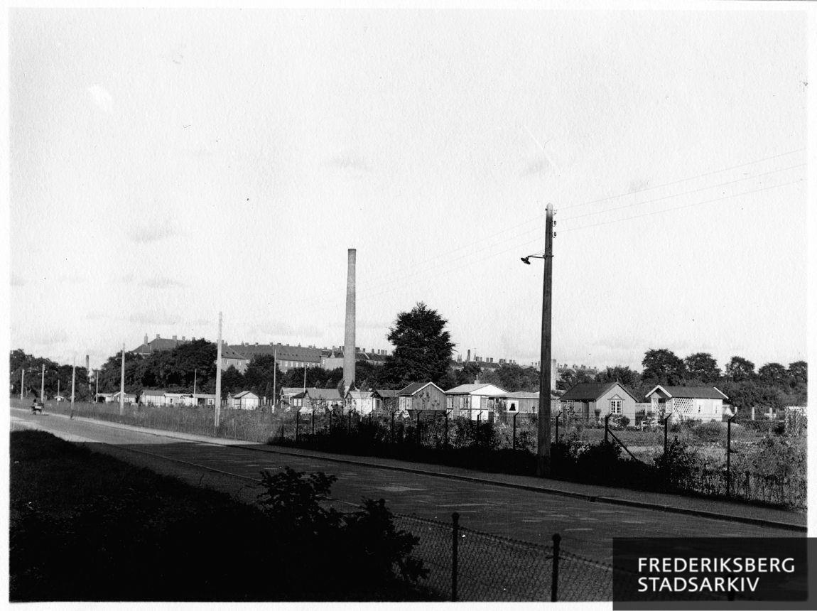 Kolonihaveforeningen Dalgas blev anlagt i 1930'erne på den nedlagte jernbanelinje mellem København og Roskilde, som indtil da havde passeret gennem Frederiksberg