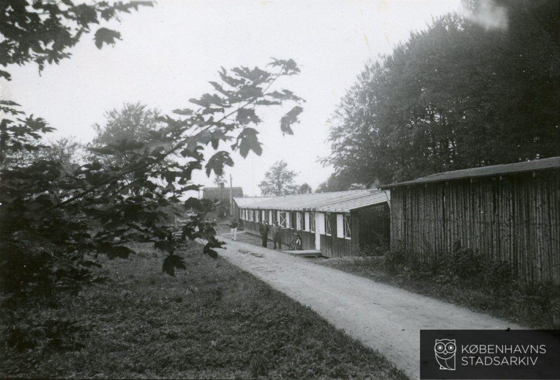 Gribskovlejren