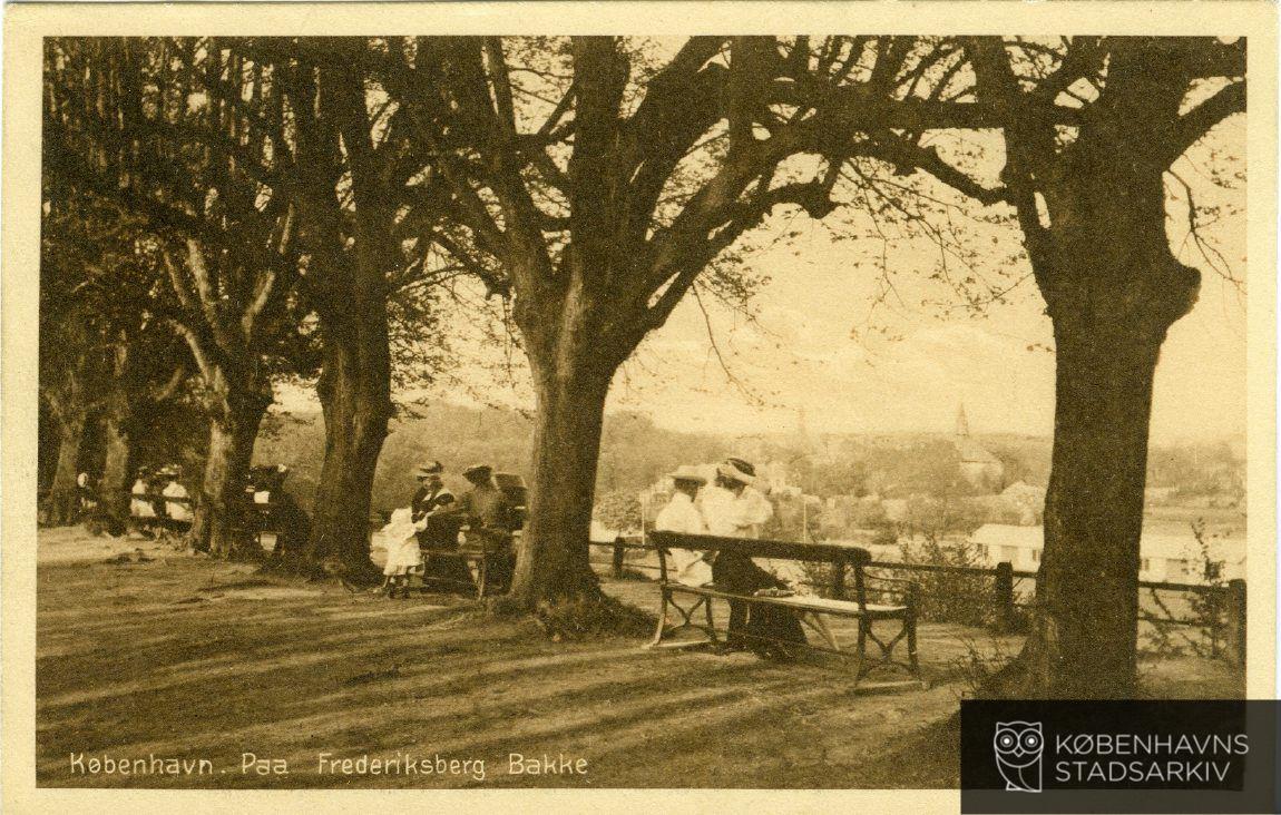 Frederiksberg Bakke