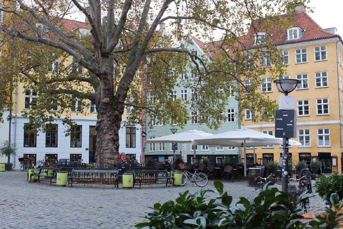 Gråbrødretorv
