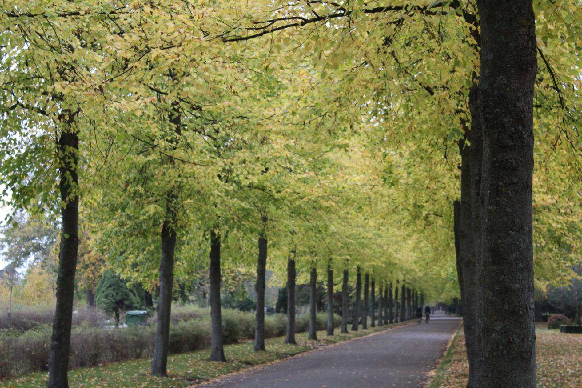 Vestre Kirkegård