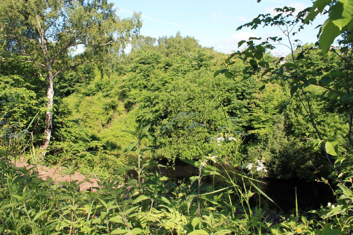 Vestvolden