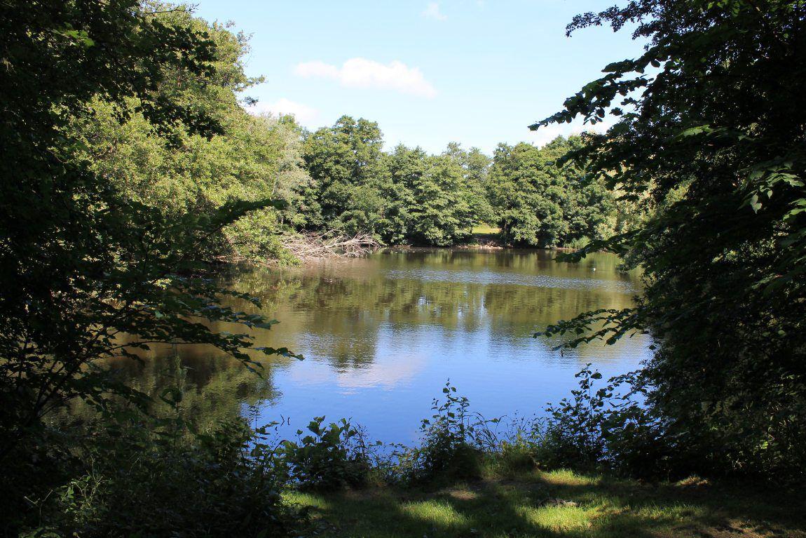 Ryparken
