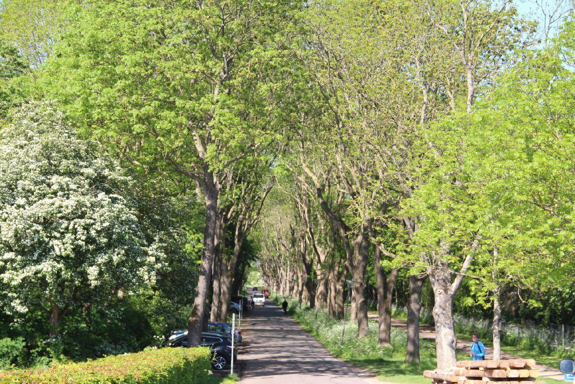 Valbyparken