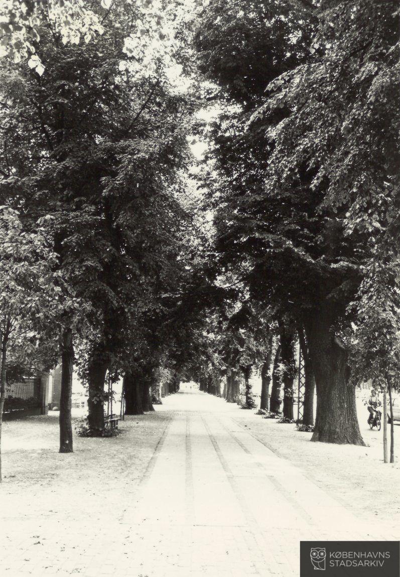 Dag Hammarskjölds Allé