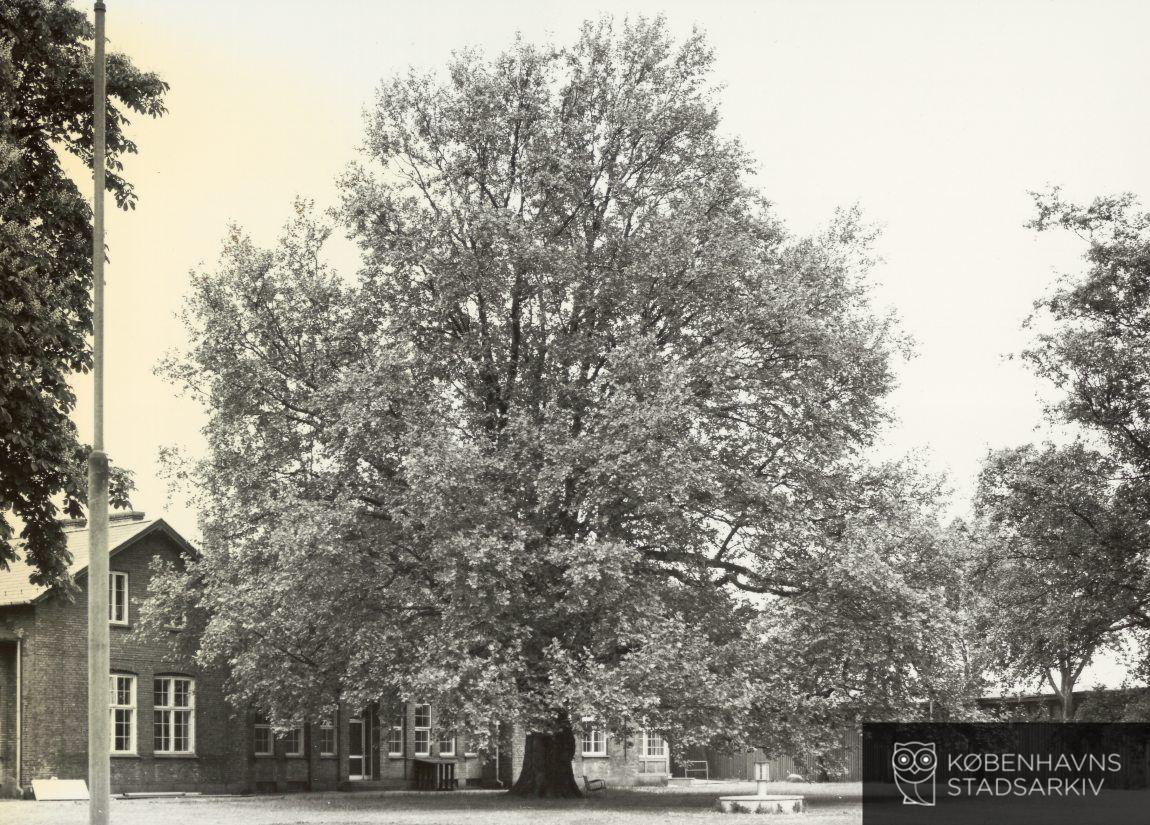 Øresundshospitalet