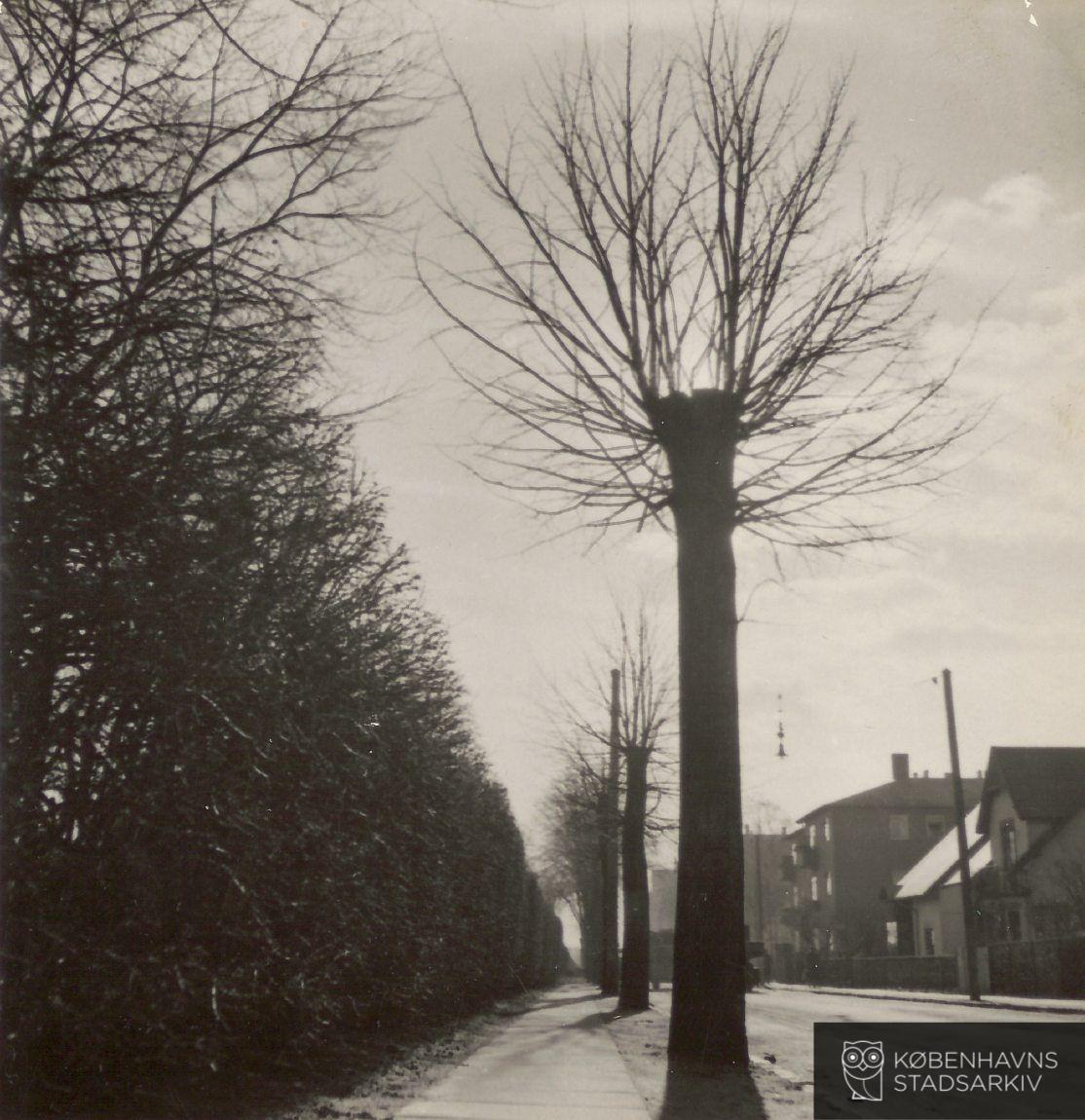 Valbygårdsvej