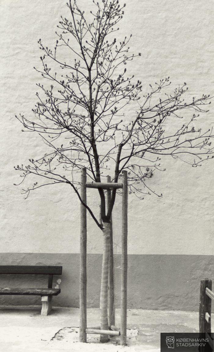 Sankt Hans Gade