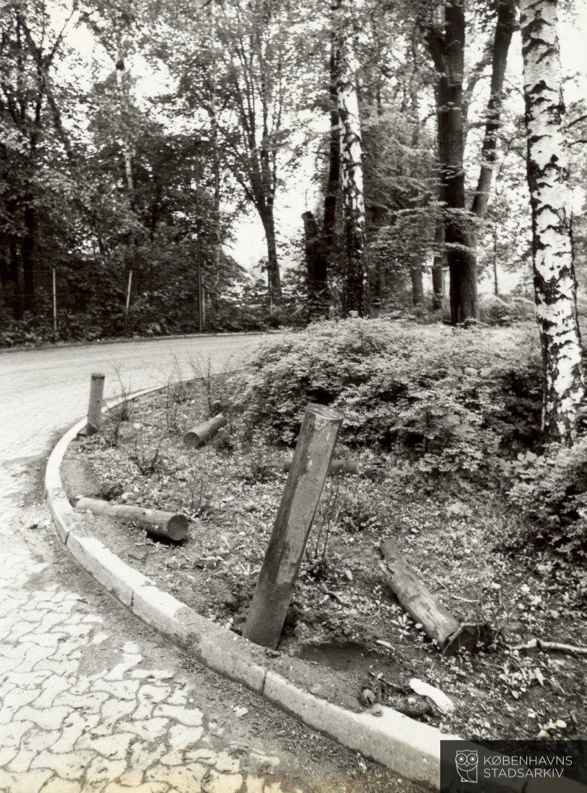 Rymarksvej