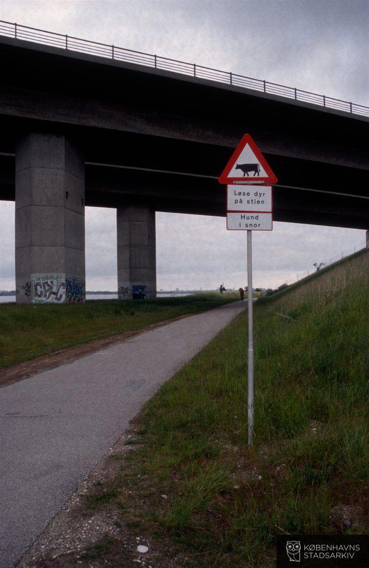 Kalvebod Fælled