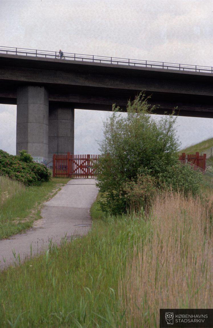 Kalvebod Fælled