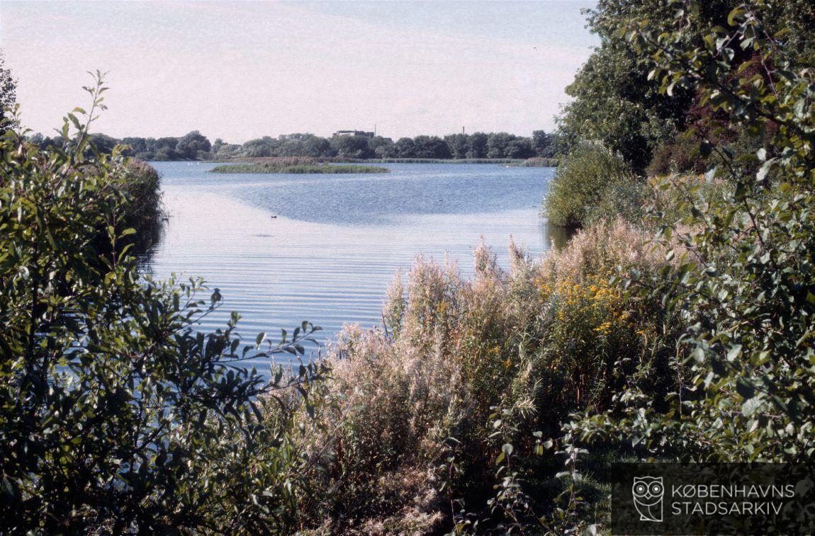 Utterslev Mose