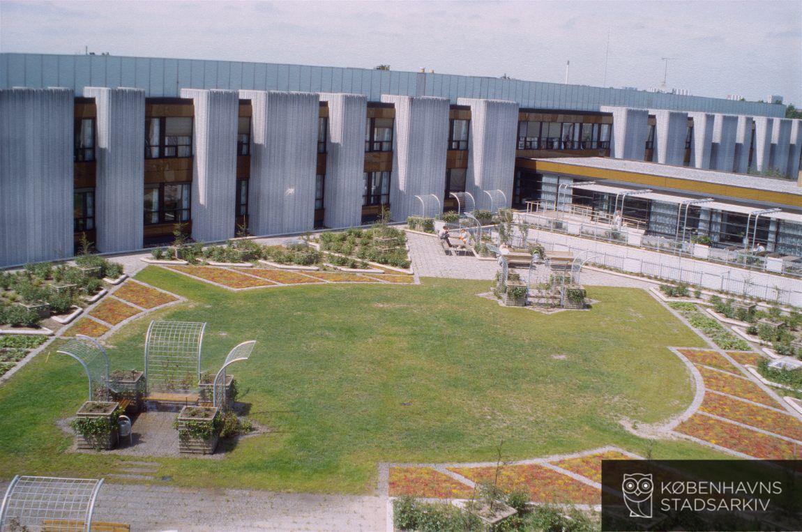 Hvidovre Hospital
