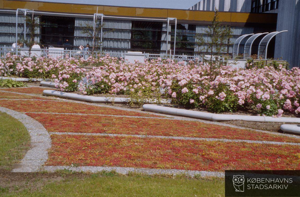 Hvidovre Hospital