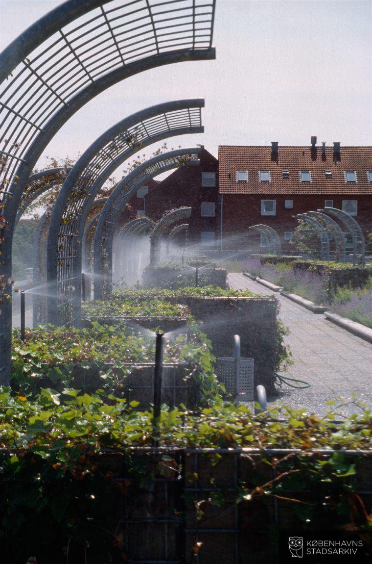 Hvidovre Hospital