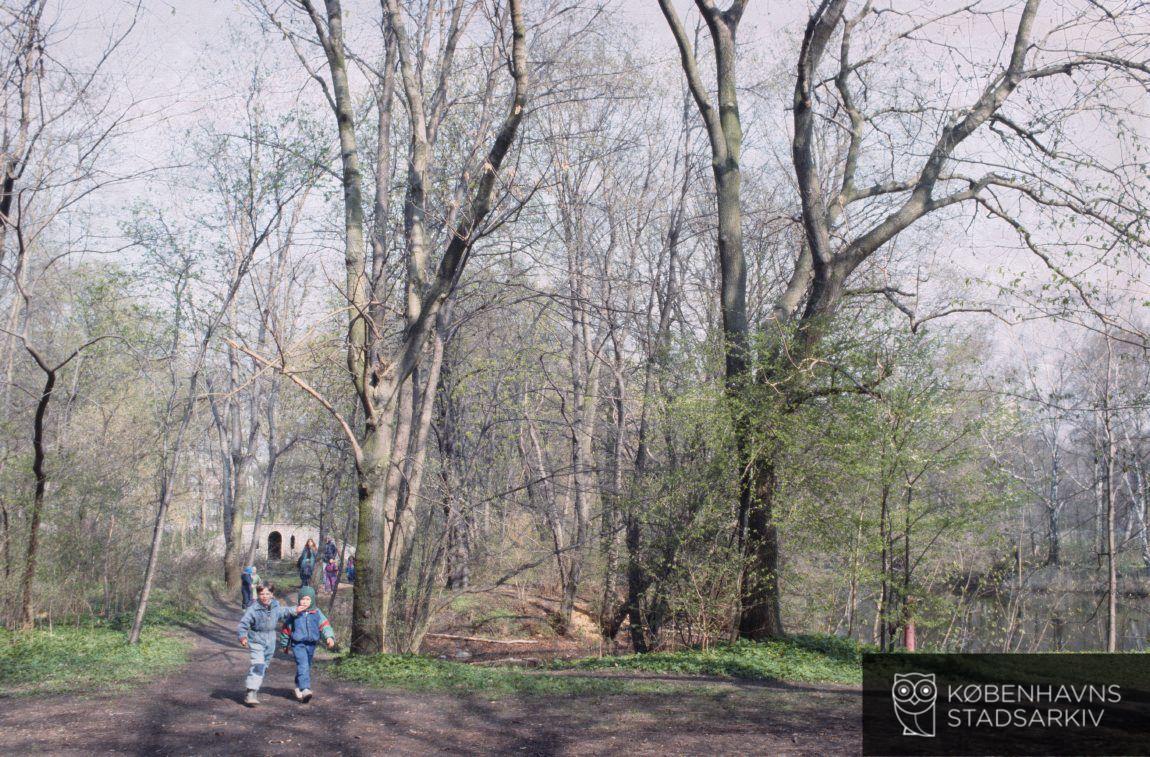 Ryvangens Naturpark