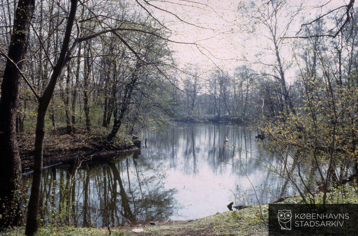 Ryvangens Naturpark