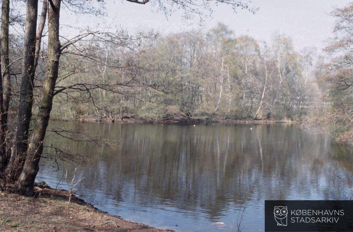 Ryvangens Naturpark