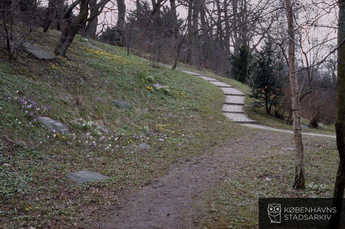 Mariebjerg Kirkegård