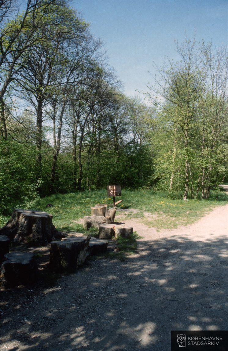 Ryvangens Naturpark