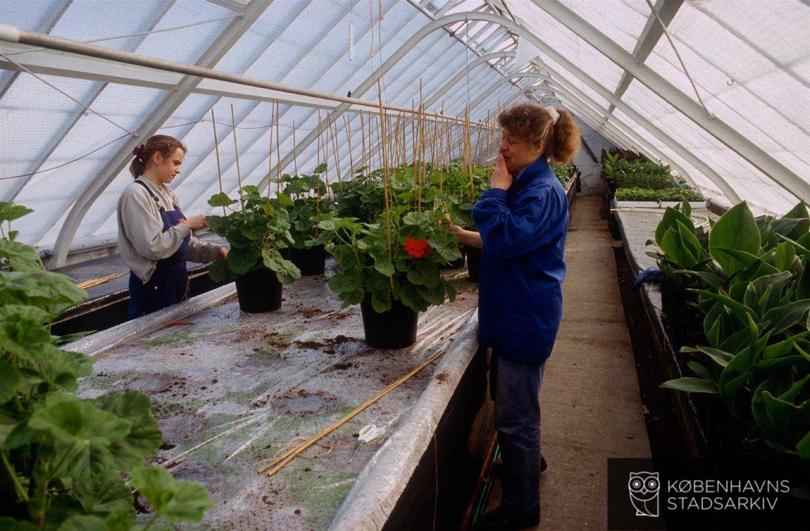 Gartneri og planteskole