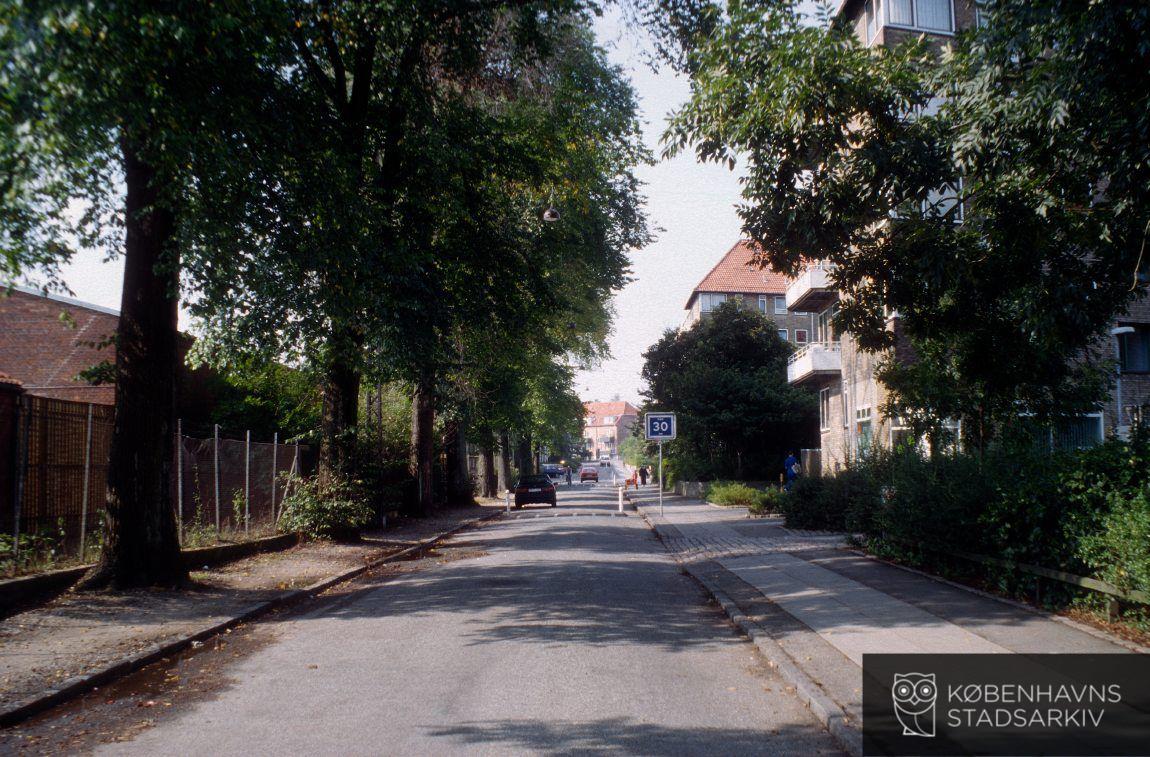 Birkedommervej