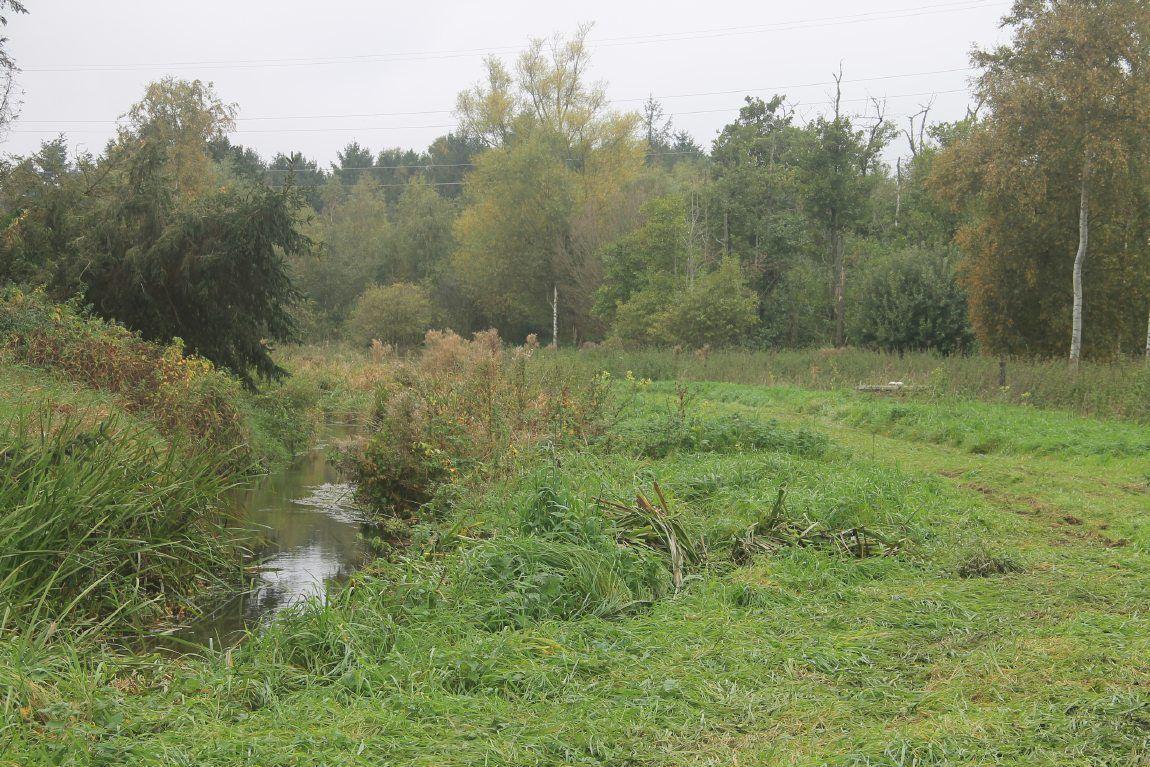 Københavns vandforsyning