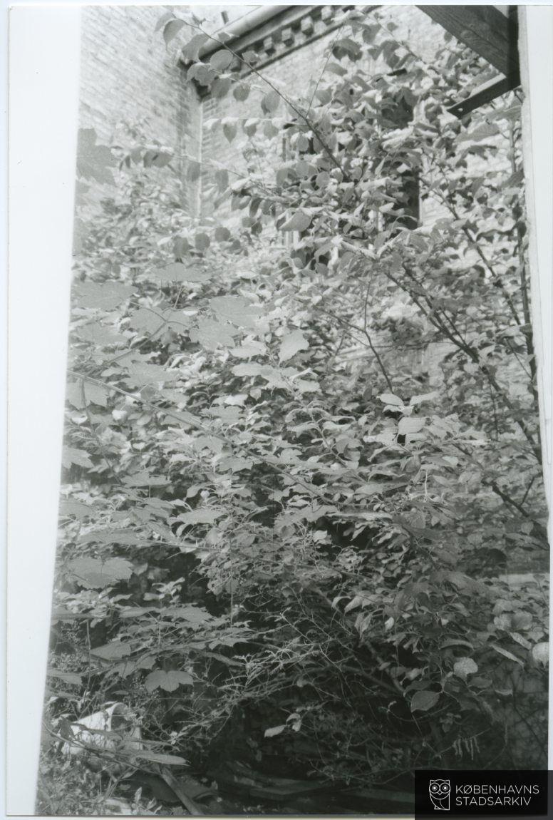 Baldersgade 4