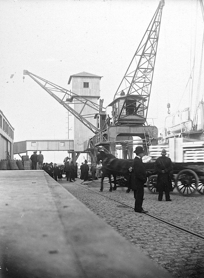 Københavns Frihavn