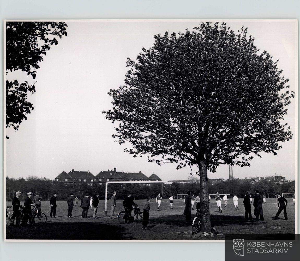 Fælledparken