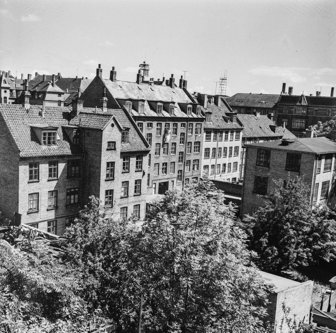 Fuglevangsvej