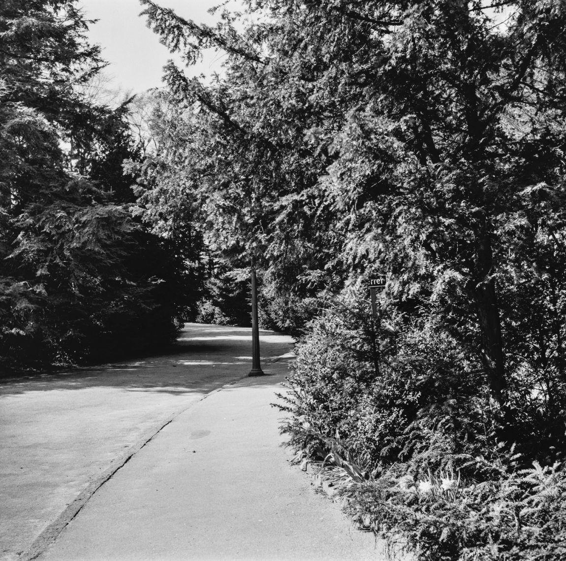 Vestre Kirkegård