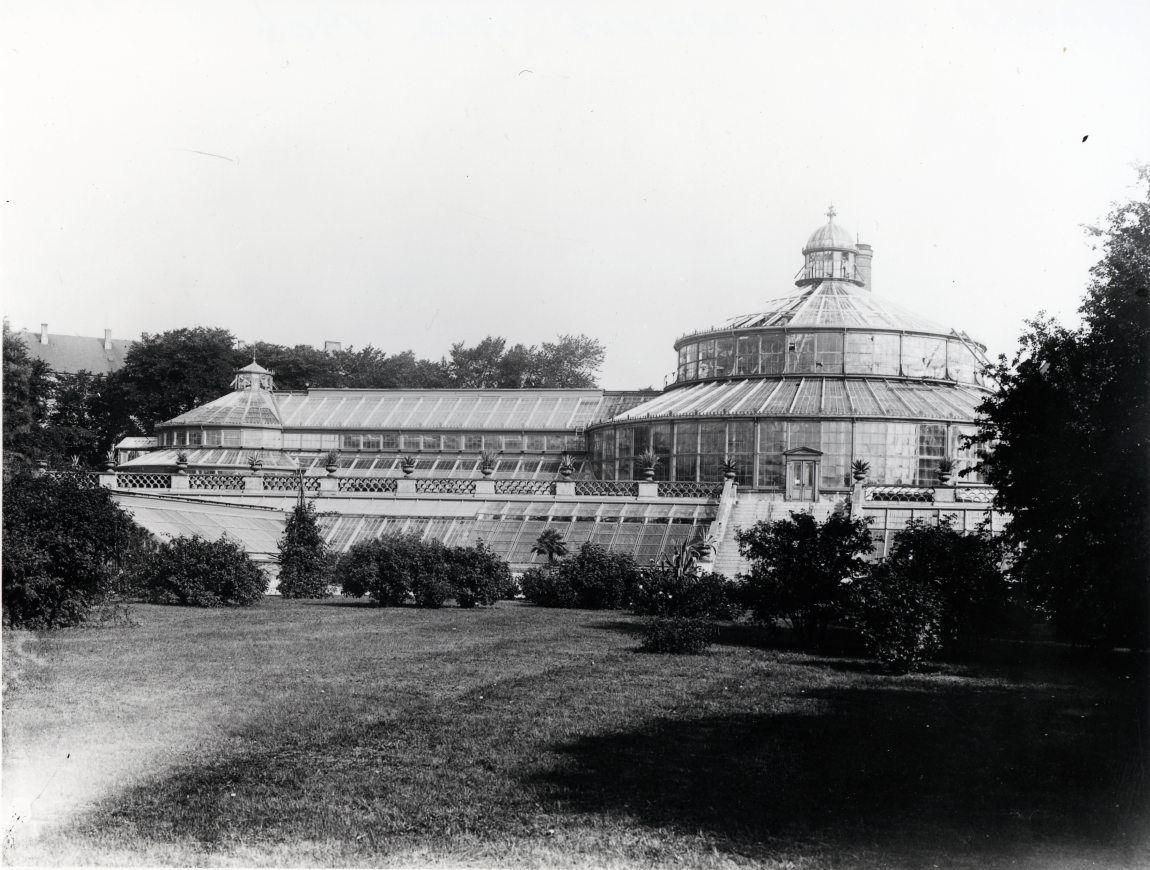 Botanisk have, Palmehuset