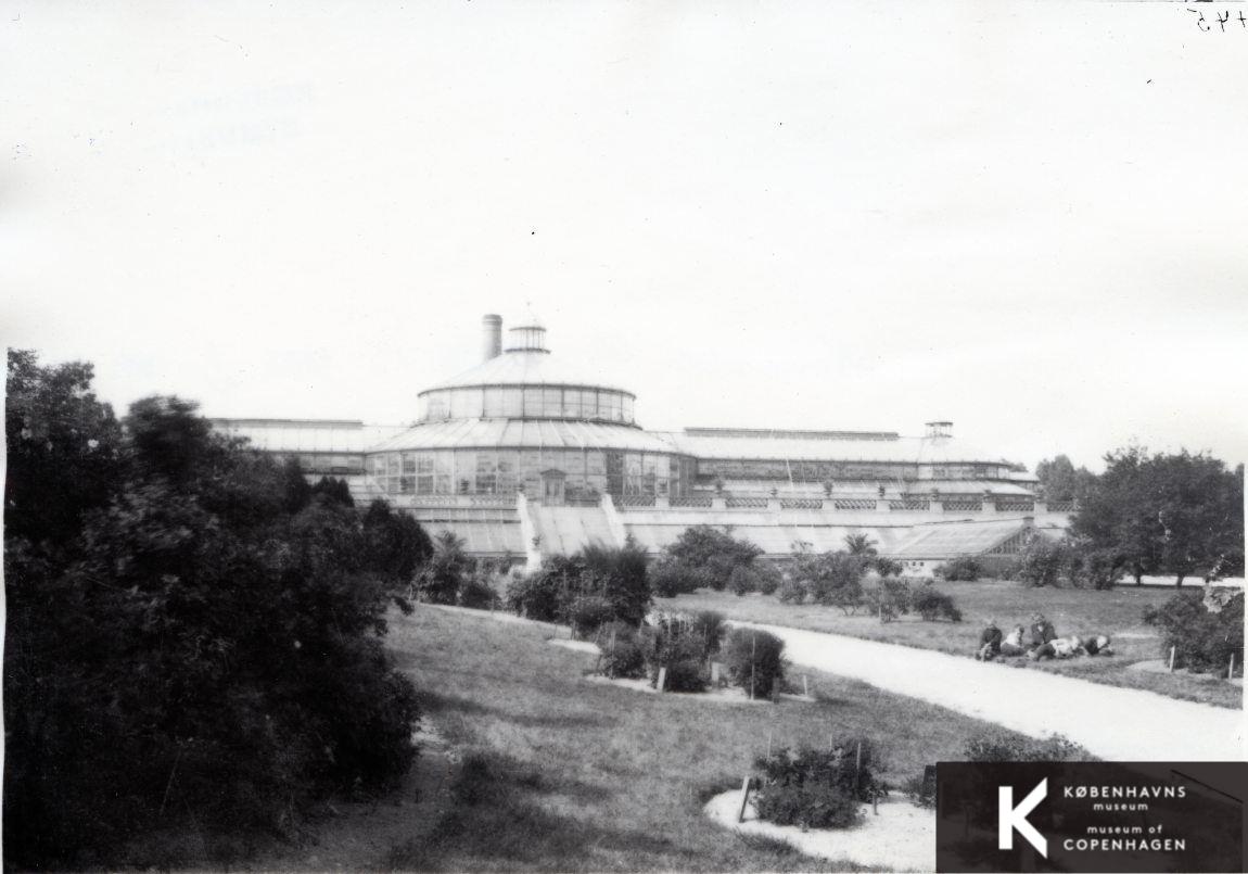 Botanisk Have