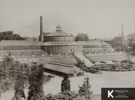 Botanisk Have