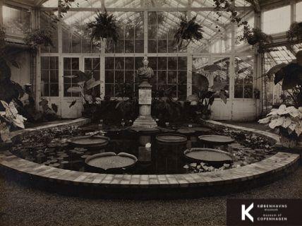 Botanisk Have