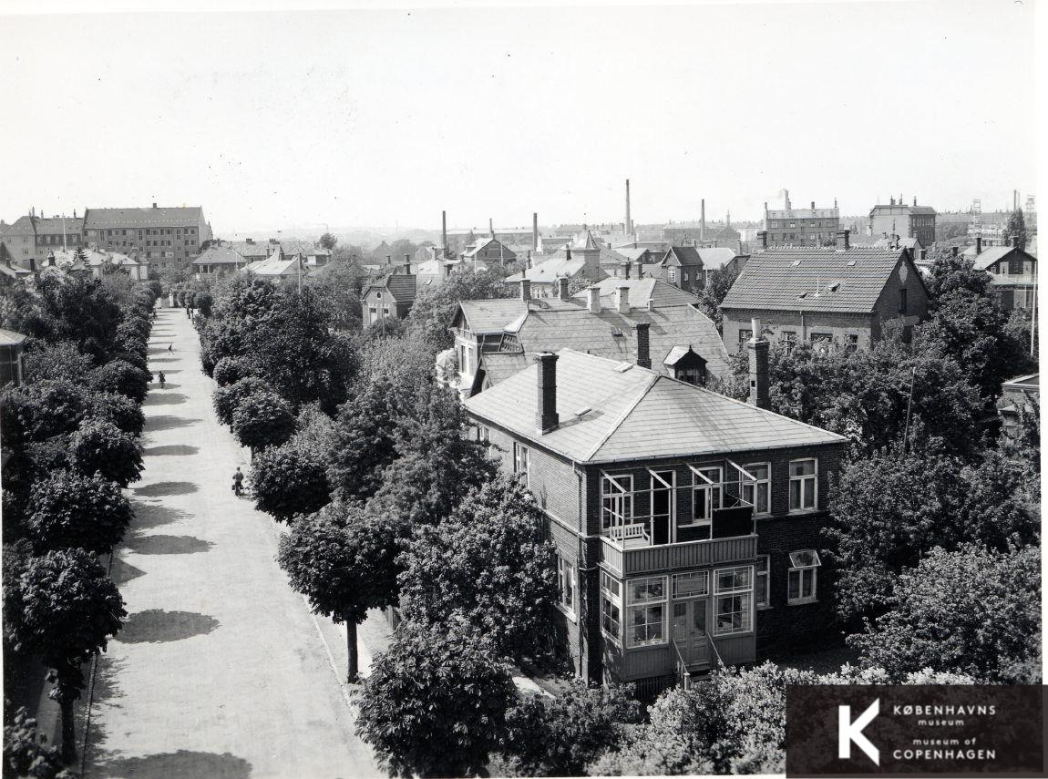 Dronning Elisabeths Allé