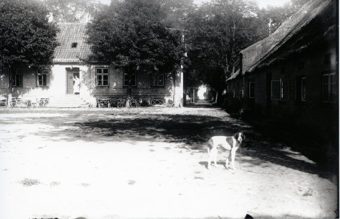 Maglebylille
