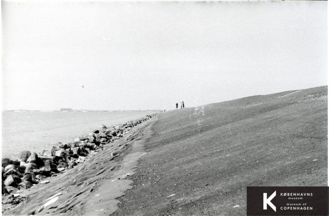 Kalvebod Fælled