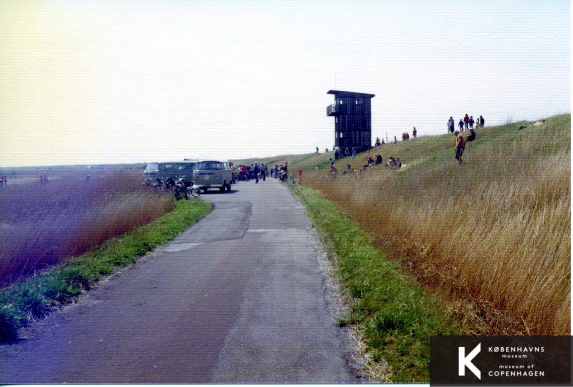 Kalvebod Fælled