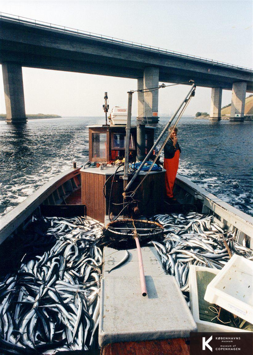 Fiskerihavnen i Bådehavnsgade
