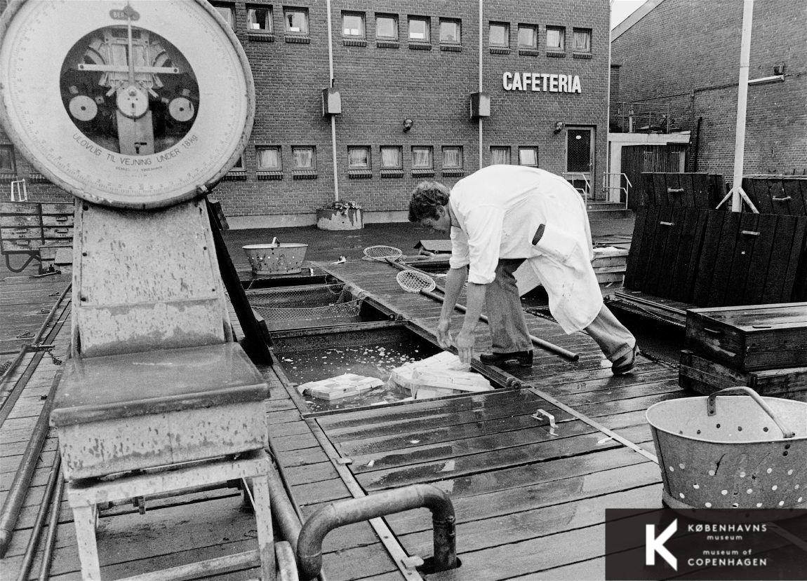 Fisketorvet, Kalvebod Brygge