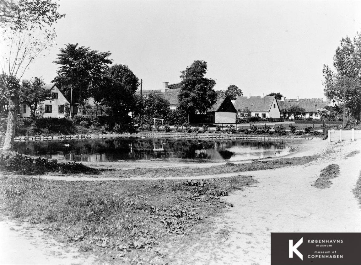 Branddammen