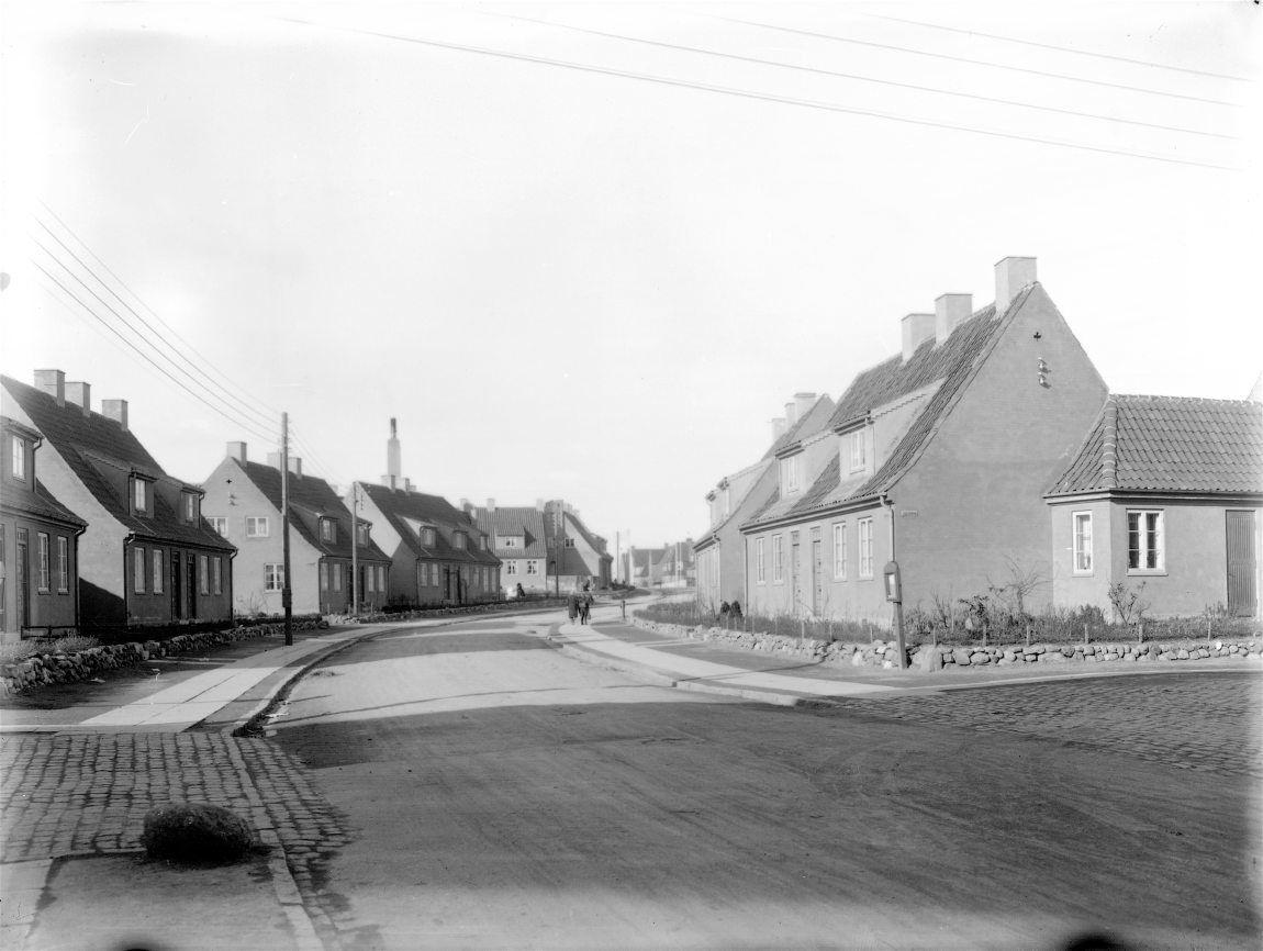 Bavnevangen